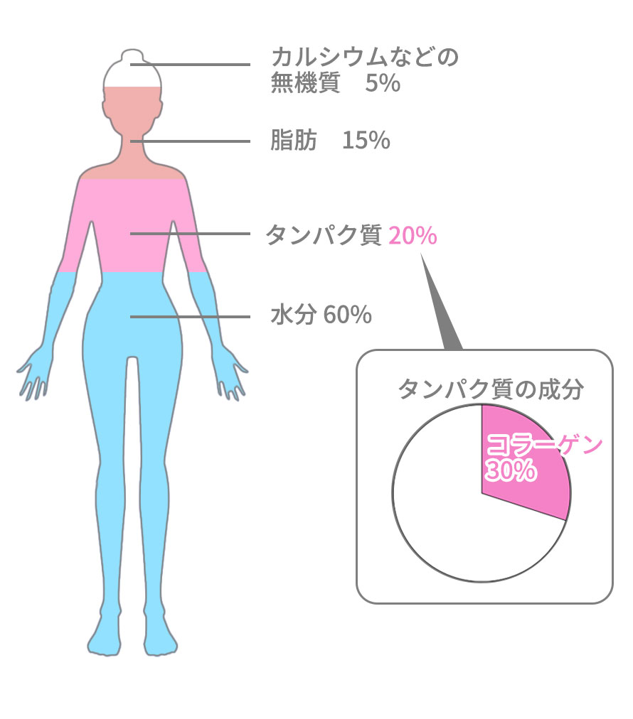 7896_collagen